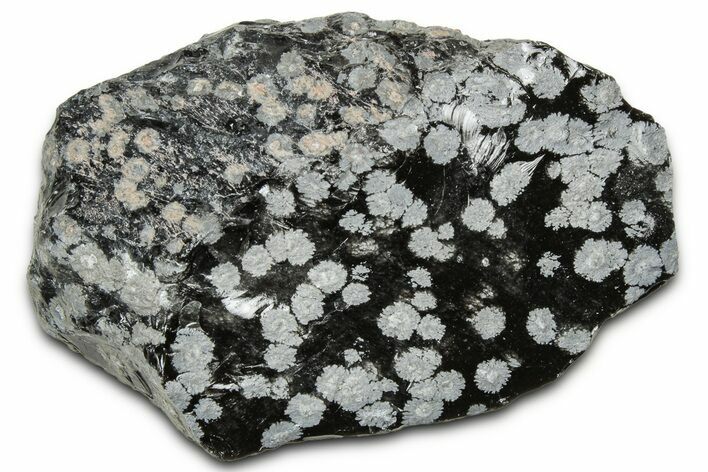 Snowflake Obsidian Section - Utah #327123